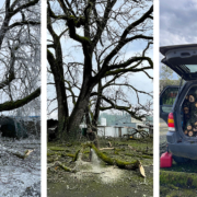 Three images - Icy tree limbs, a man with a chainsaw, a car full of logs